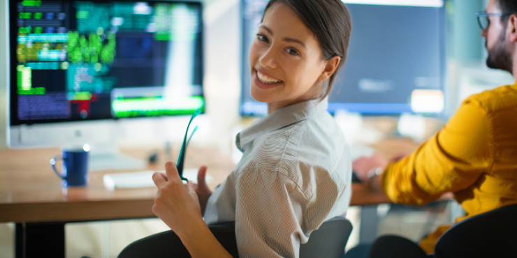 software development