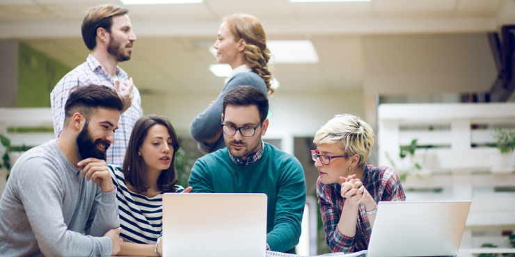 Software, Motivation, Team, Psychology